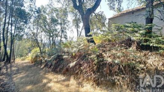 Vente Maison PEDROGAO-GRANDE 3270