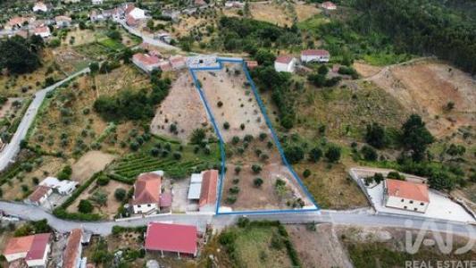 Vente Terrain PEDROGAO-GRANDE 3270