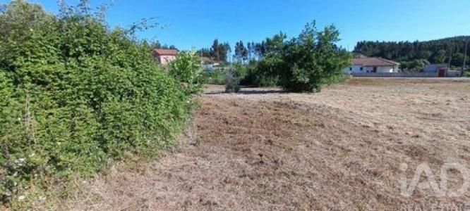 Vente Terrain PEDROGAO-GRANDE 3270