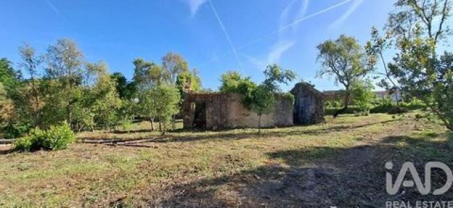 Vente Maison PEDROGAO-GRANDE 3270