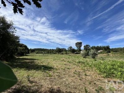Vente Maison PEDROGAO-GRANDE 3270