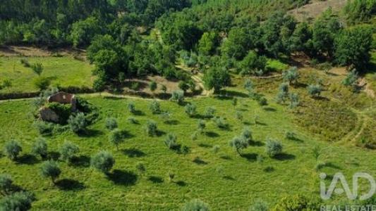 Vente Maison PEDROGAO-GRANDE 3270