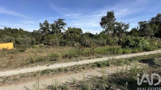 Vente Terrain PEDROGAO-GRANDE 3270