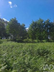 Vente Terrain PENAFIEL 4560