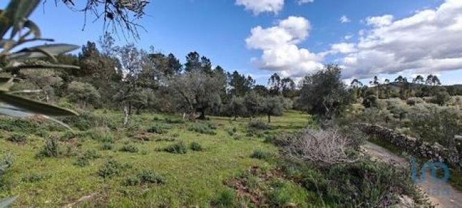 Vente Terrain PENAMACOR 6090