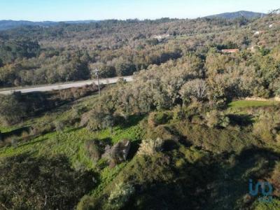 Vente Terrain PENELA 3230