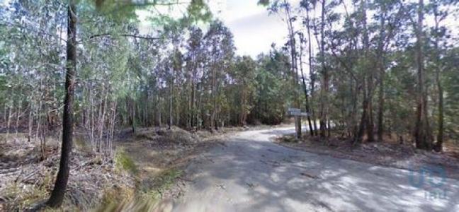 Vente Terrain PENELA 3230