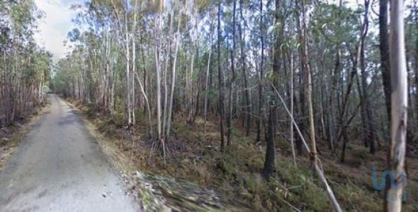 Vente Terrain PENELA 3230