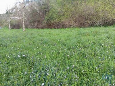 Vente Terrain PENELA 3230