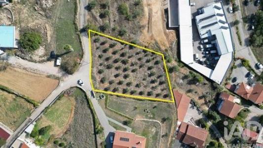 Vente Terrain PENELA 3230