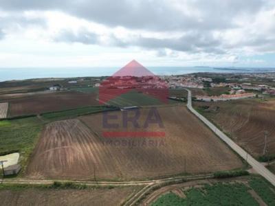 Vente Terrain PENICHE 2520