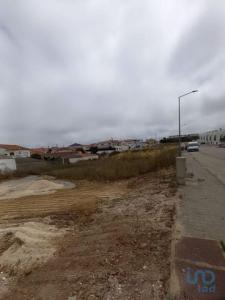Vente Terrain PENICHE 2520