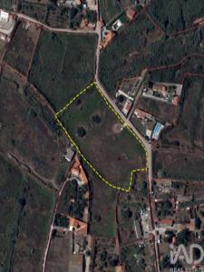 Vente Terrain PENICHE 2520