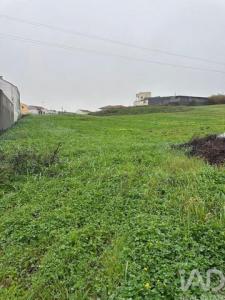 Vente Terrain PENICHE 2520