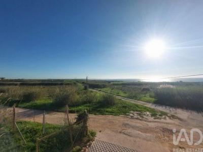 Vente Terrain PENICHE 2520