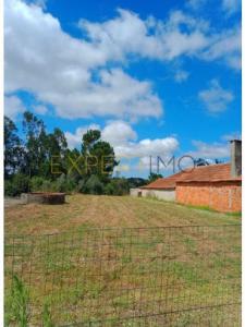 Vente Terrain POMBAL 3100