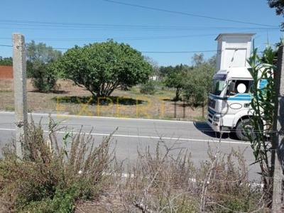 Vente Terrain POMBAL 3100