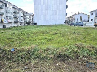 Vente Terrain POMBAL 3100