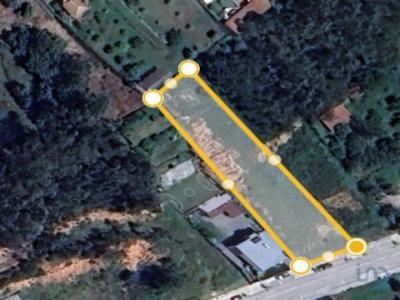 Vente Terrain POMBAL 3100