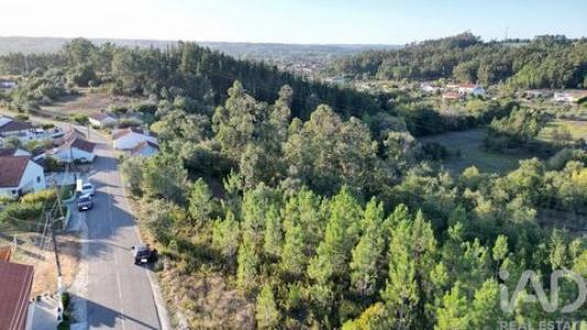 Vente Terrain POMBAL 3100
