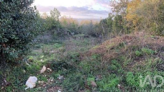 Vente Terrain POMBAL 3100