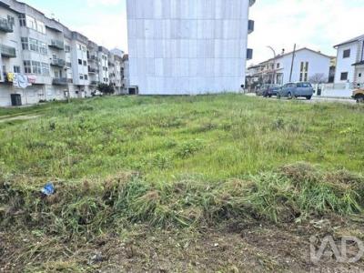 Vente Terrain POMBAL 3100