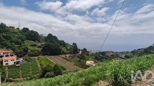 Vente Maison PONTA-DO-SOL 9360