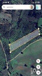 Vente Terrain PONTE-DE-SOR 7400