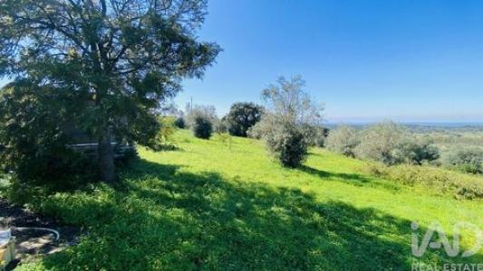 Vente Maison PONTE-DE-SOR 7400