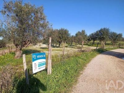 Vente Terrain PONTE-DE-SOR 7400