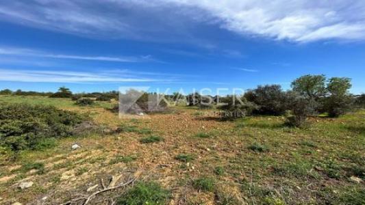 Vente Terrain PORCHES 8400