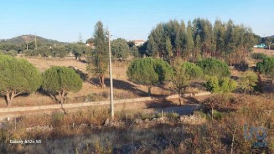 Vente Terrain PORTALEGRE 7300