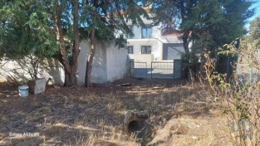 Vente Terrain PORTALEGRE 7300