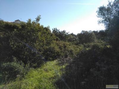 Vente Terrain PORTIMAO 8500