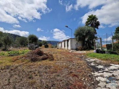 Vente Terrain PORTO-DE-MOS 2480