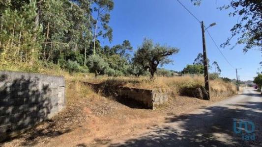 Vente Terrain PORTO-DE-MOS 2480