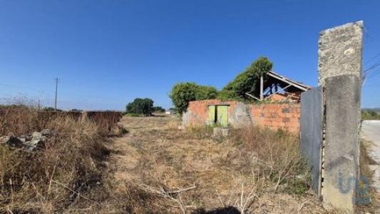 Vente Terrain PORTO-DE-MOS 2480