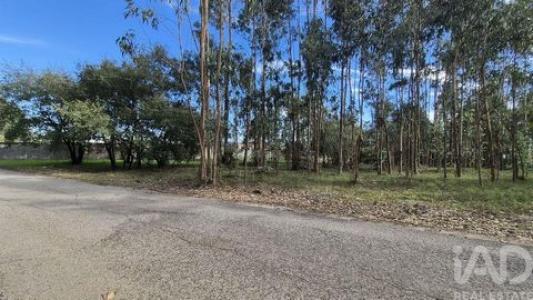 Vente Terrain PORTO-DE-MOS 2480