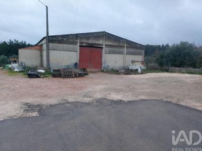 Vente Local industriel PORTO-DE-MOS 2480