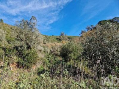 Vente Maison PORTO-DE-MOS 2480