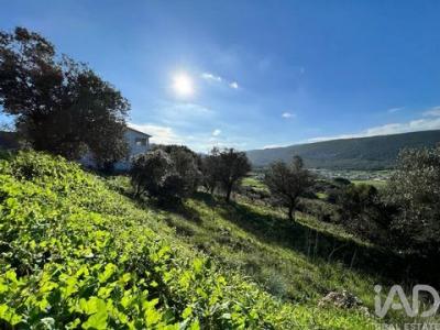 Vente Terrain PORTO-DE-MOS 2480