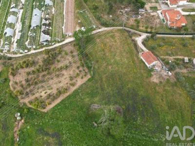 Vente Terrain PORTO-DE-MOS 2480