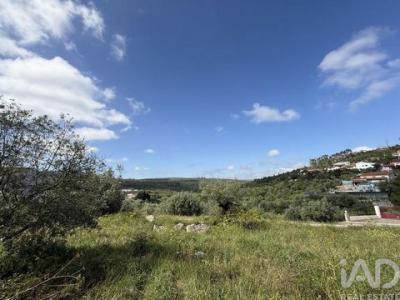 Vente Terrain PORTO-DE-MOS 2480