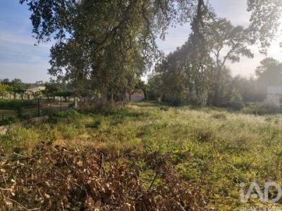 Vente Terrain PORTO-DE-MOS 2480