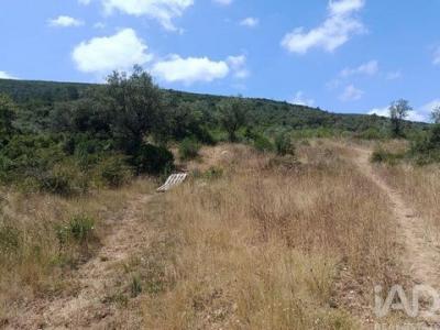 Vente Terrain PORTO-DE-MOS 2480