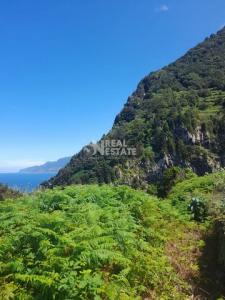 Vente Terrain PORTO-MONIZ 9270