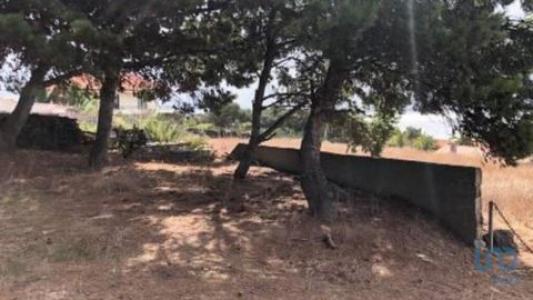 Vente Terrain PORTO-SANTO 9400