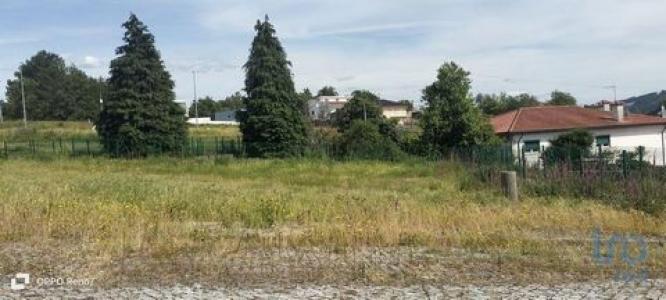 Vente Terrain POVOA-DE-LANHOSO 4830