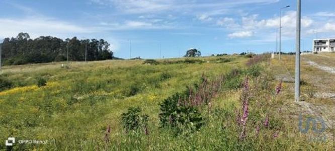 Vente Terrain POVOA-DE-LANHOSO 4830
