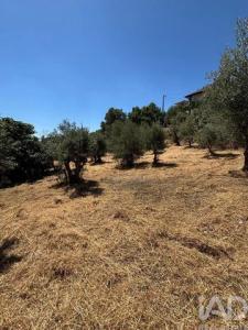 Vente Terrain PROENCA-A-NOVA 6150